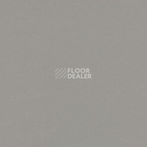 Линолеум Forbo Marmoleum Decibel on Order 336735 alloy фото 1 | FLOORDEALER